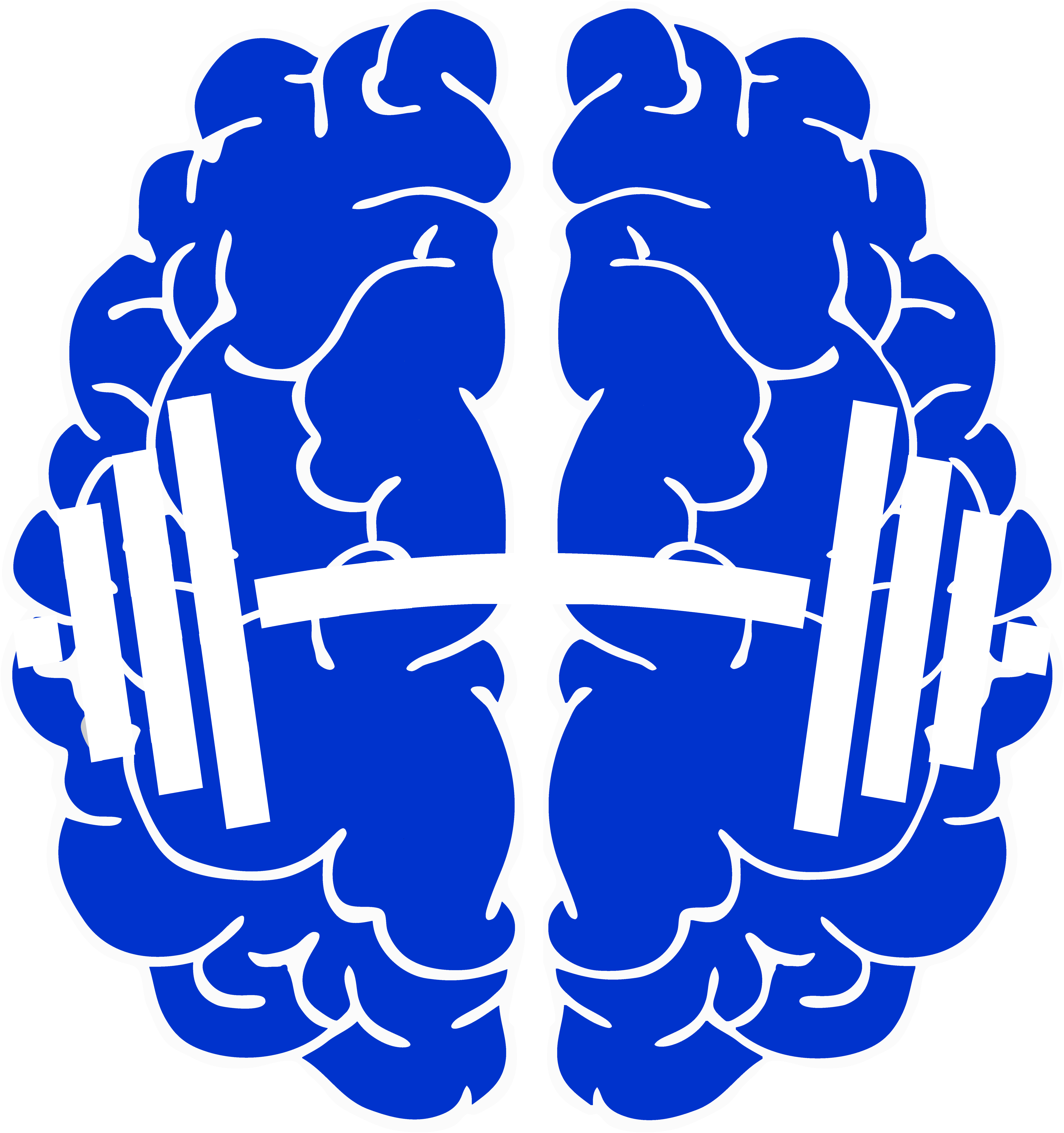 Mental Training Plan Brain